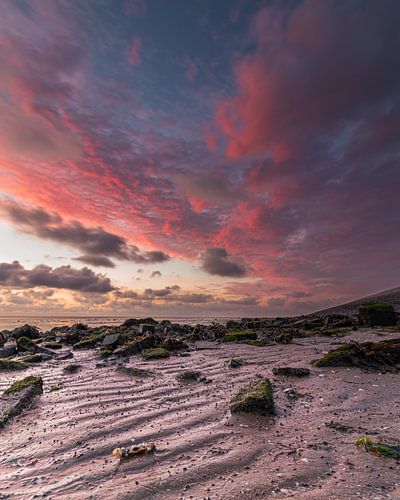 Avondrood boven de drooggevallen Waddenzee op Wieringen