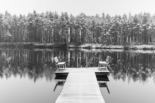 Winterbos met een meertje, Finland