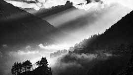 Nepal landschap en bos