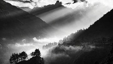 Nepal landschap en bos van Mustafa Kurnaz