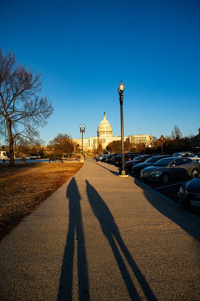 great again by Stefan Havadi-Nagy