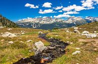 Rocky Mountains van Ilya Korzelius thumbnail