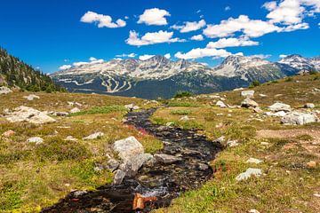 Rocky Mountains van Ilya Korzelius
