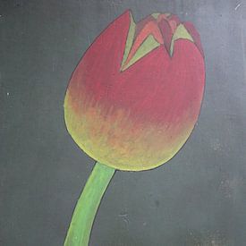 Tulipe sur hou2use