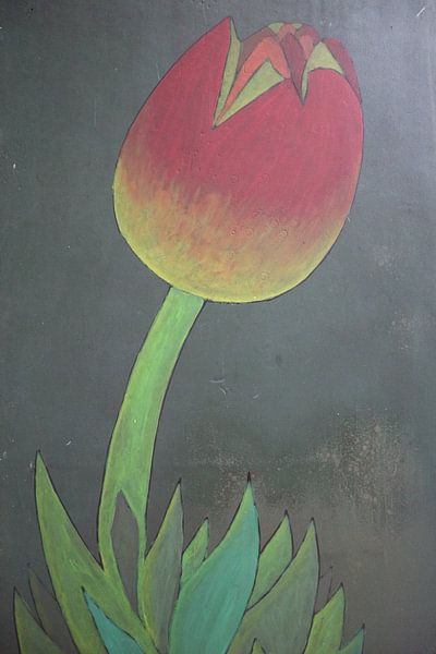 Tulip by hou2use