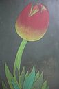 Tulip by hou2use thumbnail