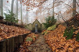 Where the Water Awakens