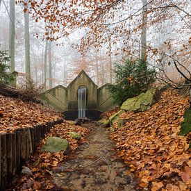 Wo das Wasser erwacht von Daan van Oort