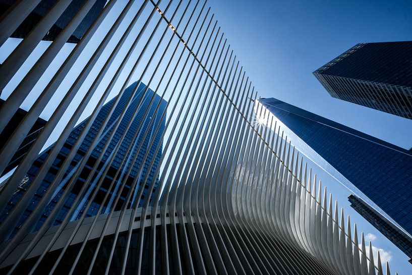 Lower Manhattan par Eddy Westdijk