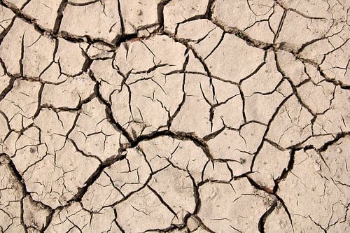 Kein Leben ohne Wasser