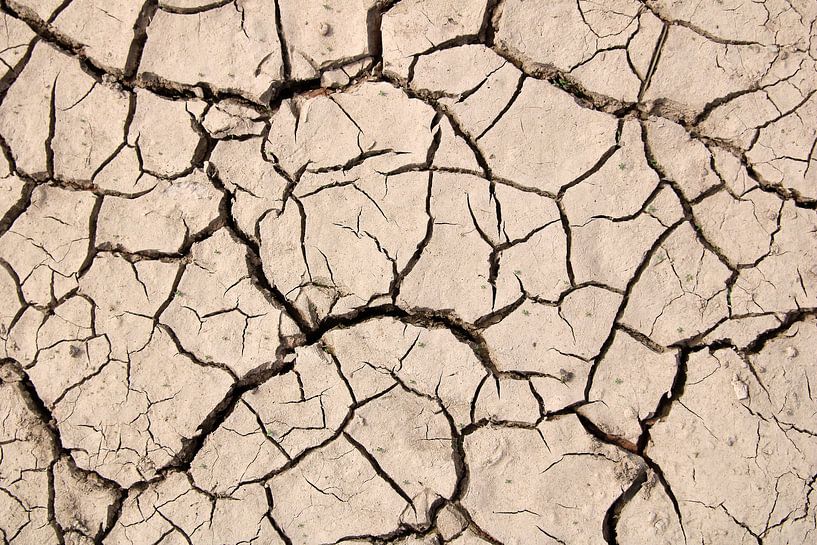 Kein Leben ohne Wasser von Rüdiger Rebmann