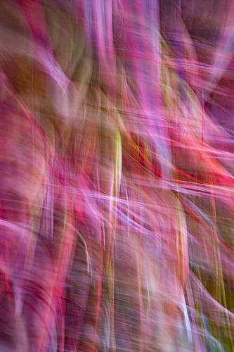 Lampshaded grass in motion (ICM)