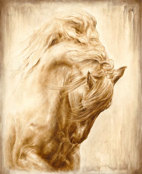 Athos by Paula Collewijn