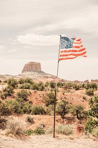 Amerikanische Flagge an Wild West Landschaft