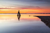Arendshoofd voor zonsopkomst