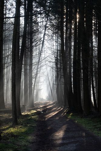 WinterWonderLight 02