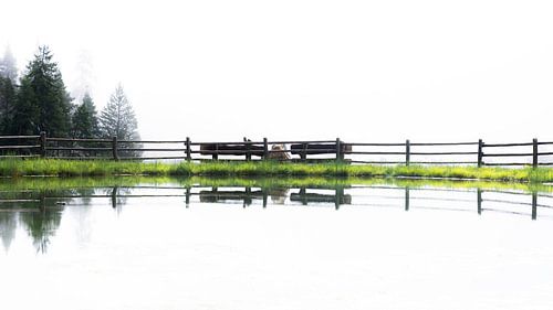 Minimalistic View of the Wuhnleger in Rosengarten in South Tyrol