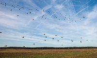 Fallschirmjäger fallen über die Ginkelheide. von ChrisWillemsen Miniaturansicht