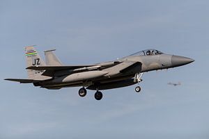 Frisian Flag 2017