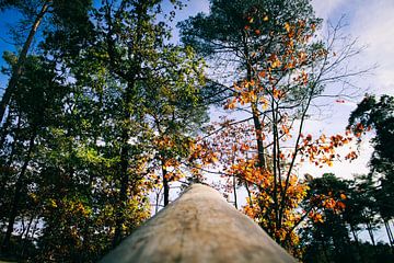 A green sky by Inez Van Campfort