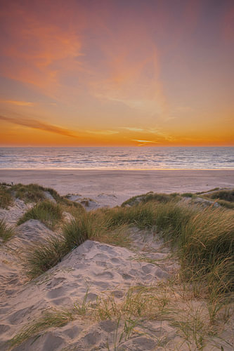 Der wunderschöne Sonnenuntergang in den Dünen in Dänemark lockt. von Robby's fotografie