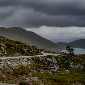 moody road by Bart Berendsen