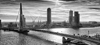 Rotterdam Skyline in the morning (Black)