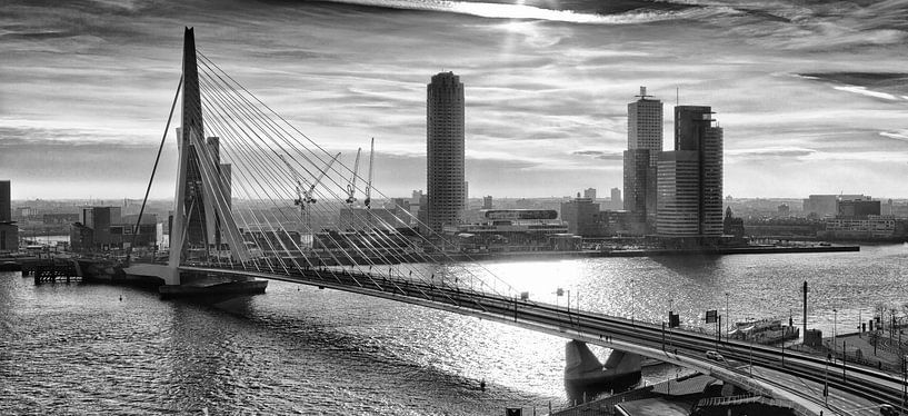 Rotterdamer Skyline am Morgen (schwarz-weiß) von Rob van der Teen