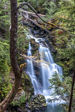 Carter Falls, Mount Rainier, USA van M. Cornu