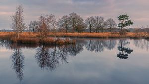 Zonsopkomst in het Nationaal Park Dwingelderveld van Henk Meijer Photography