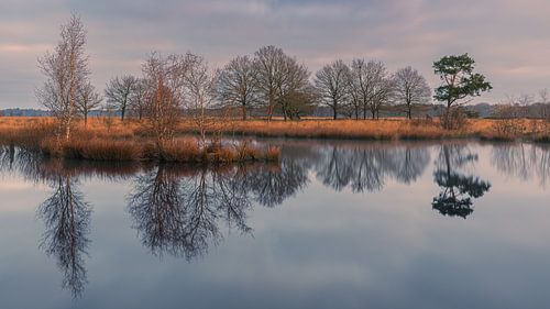Sunrise in the Dwingelderveld National Park