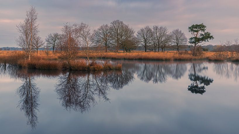 Sunrise in the Dwingelderveld National Park by Henk Meijer Photography