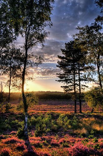 Sunset Den Treek country estate Amersfoort