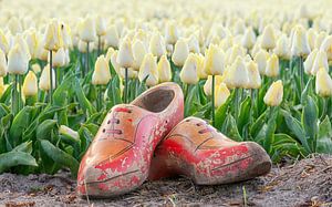 Ouderwetse klompen en tulpen