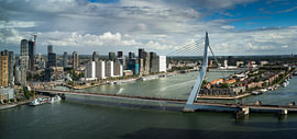 De Erasmusbrug en de skyline van Rotterdam van Jonas Weinitschke