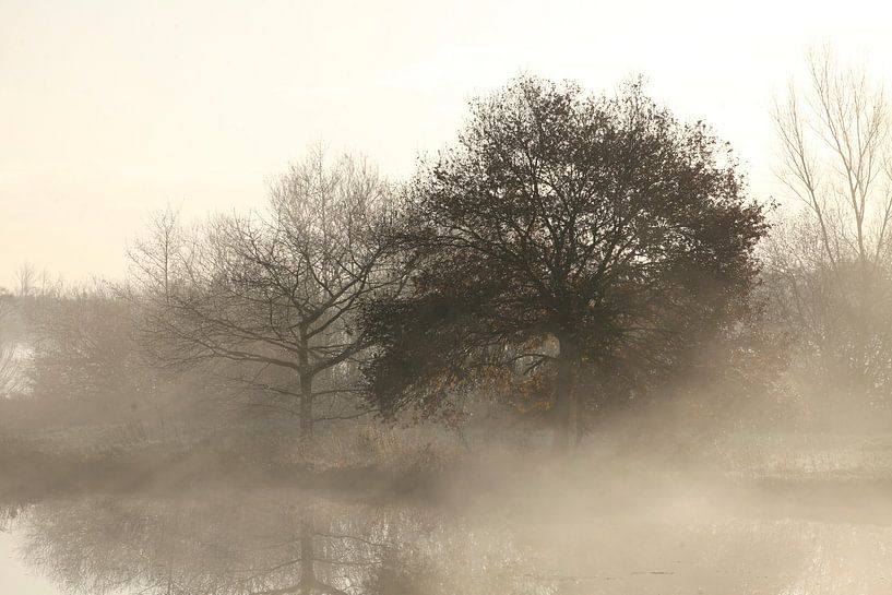 Ambiance automnale avec brouillard au sol sur un lac, Fischerhude, Basse-Saxe, Allemagne par Torsten Krüger