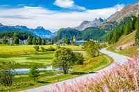 De rivier de Inn die stroomt naar het meer van Sils (Engadin, Graubünden, Zwitserland)