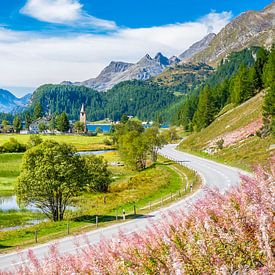 Inn, der in den Silsersee mündet (Engadin, Graubünden, Schweiz) von Chris Rinckes
