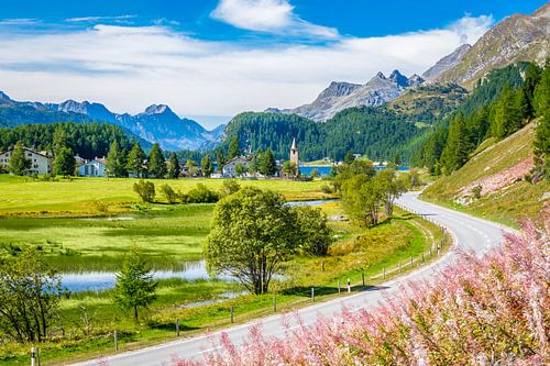 The river Inn flowing to the lake of Sils (Engadine, Graubünden, Switzerland)