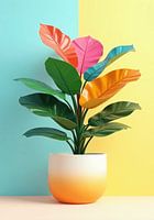 Aroma Blume
