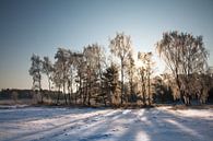 Winterlandschap van Arie Storm thumbnail