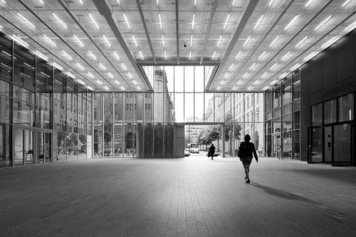 Timmerhuis | Rotterdam