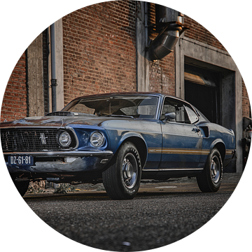 1969 Ford Mustang van Aron Nijs