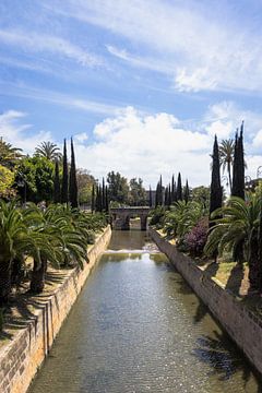 Grünes Paradies in Palma de Mallorca | Von Bäumen umgebener Graben | Reisefotografie von Kelsey van den Bosch