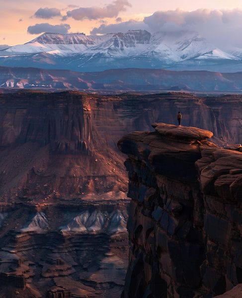 Panorama van de canyon van fernlichtsicht