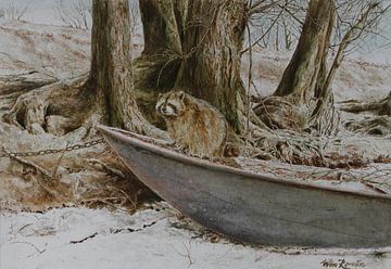 Waschbär auf einem Ruderboot von Wim Romijn