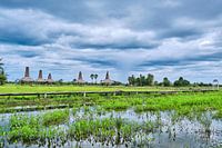 Ephemeral painting: Rice paddies under the storm