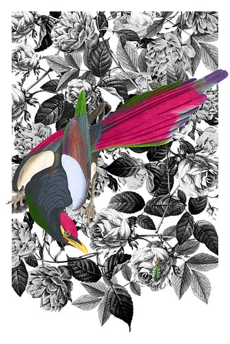 The Beetle's Peril sur Marja van den Hurk
