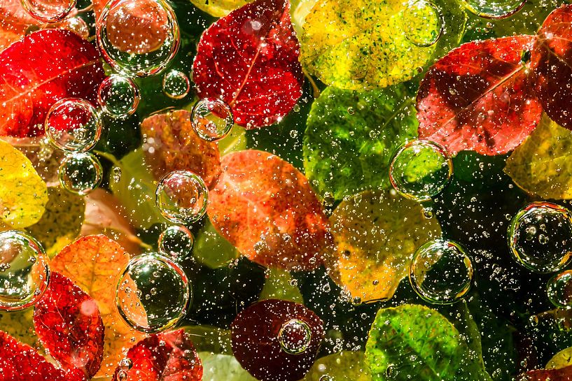 Herfstbladeren en waterbellen kunst. van Art & Soul Creations