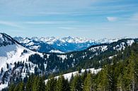 Winteruitzicht op het Kleinwalsertal, Widderstein en de Allgäuer Alpen van Leo Schindzielorz thumbnail